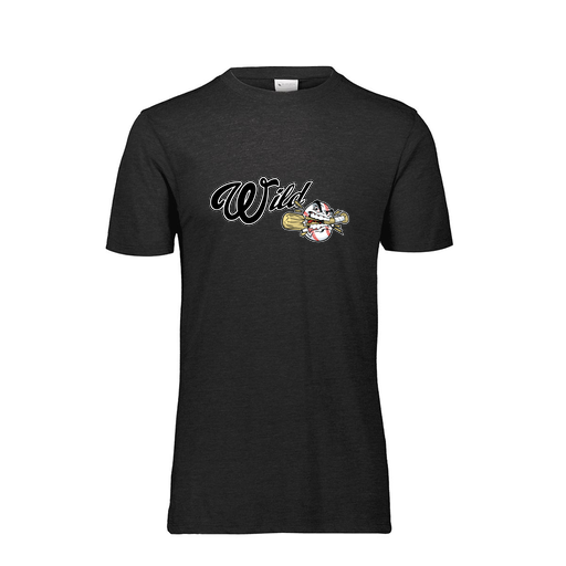 [FTSCUBBK-AS-LOGO2] Decker Men's Tri-Blend T-Shirt - Short Sleeve (Adult S, Black, Logo 2)