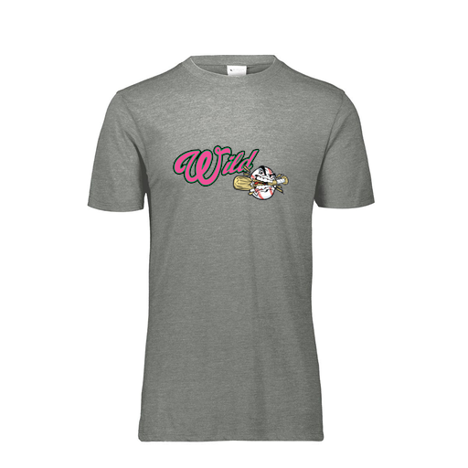 [FTSCUBGY-AS-LOGO3] Decker Men's Tri-Blend T-Shirt - Short Sleeve (Adult S, Gray, Logo 3)